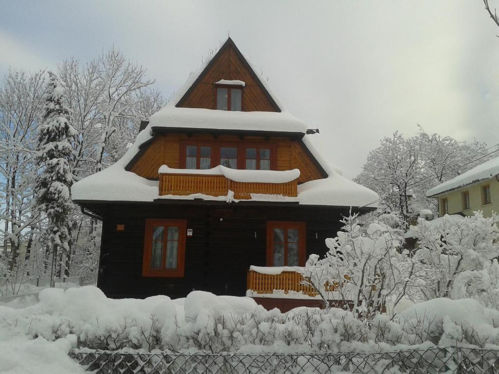 Willa Dewajtis Bed and Breakfast Zakopane Eksteriør billede