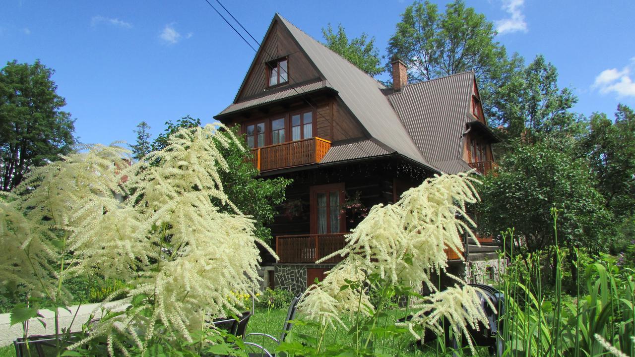 Willa Dewajtis Bed and Breakfast Zakopane Eksteriør billede