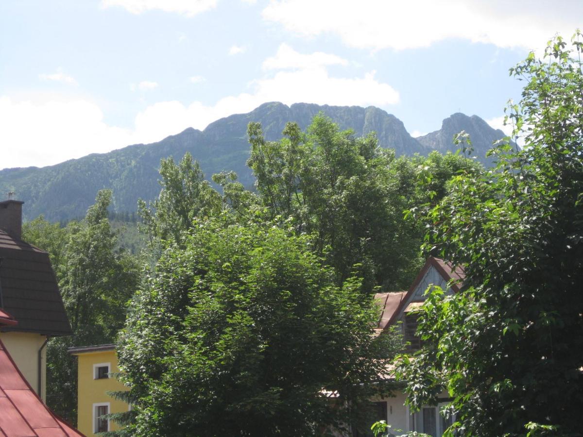 Willa Dewajtis Bed and Breakfast Zakopane Værelse billede